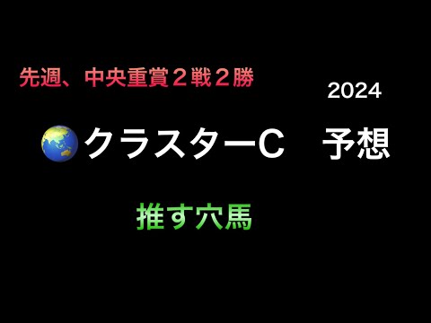 【地方競馬予想】　地方交流重賞　クラスターカップ　2024  予想