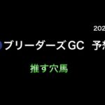 【競馬予想】　地方交流重賞　ブリーダーズゴールドカップ　2024  予想