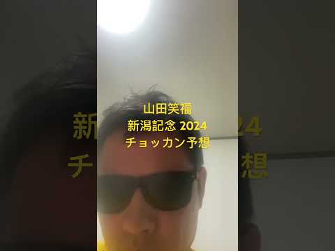 新潟記念 2024チョッカン予想 #世界一当たる競馬予想 #目指します #世界一当たる #競馬予想