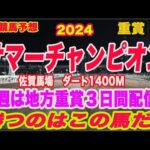 【 サマーチャンピオン2024 予想 】地方競馬予想！勝つのはこの馬だ！