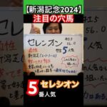 【新潟記念2024 注目の穴馬‼️】高配当狙い🎯#競馬予想  #新潟記念  #新潟競馬場 #穴馬