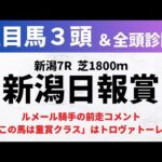 【2024新潟日報賞】競馬予想｜ルメール騎手「この馬は重賞クラスです」はトロヴァトーレ！