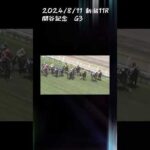 関谷記念　もちおの当たらない予想 #競馬　#競馬予想 #関谷記念2024