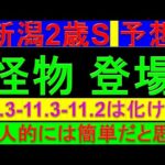 2024年 新潟2歳ステークス予想 予想【怪物登場】