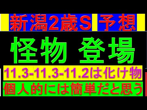 2024年 新潟2歳ステークス予想 予想【怪物登場】