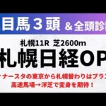 【2024札幌日経オープン】競馬予想｜ディナースタの東京→札幌はプラス！時計のかかる馬場で変身！