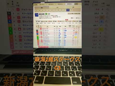 2024 新潟2歳ステークス　予想と買い目　#競馬　#競馬予想　#新潟　#新潟2歳ステークス