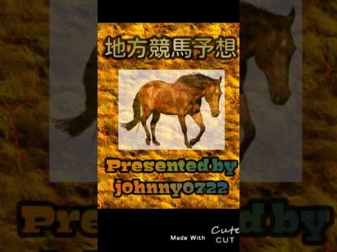 【簡易版】2024笠松競馬　蛍火特別予想