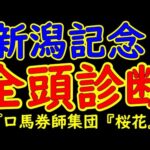 新潟記念2024一週前レース競馬予想全頭診断！今年の桜花賞オークスで３着好走のライトバックが５２ｋｇの斤量で参戦！重賞の安定株キングズパレスや重賞勝ったレッドラディエンスがサマーチャンピオンを狙う！