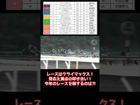 フリオーソレジェンドカップ2024　競馬予想