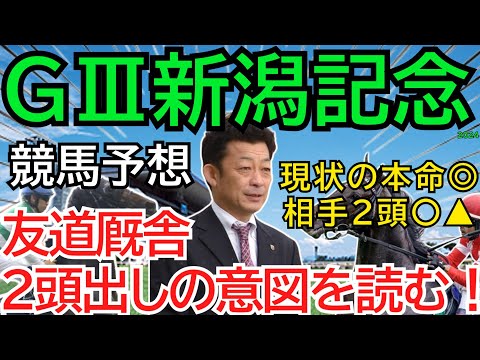 ＧⅢ新潟記念2024【競馬予想】サマー２０００ｍシリーズ最終戦！友道厩舎はレッドラディエンスが「優勝」する為の２頭出し！？🏇