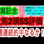 【競馬予想】新潟記念2024　ライトバックは超危険！？　展開が向く新潟巧者で大万馬券を狙いましょう！！