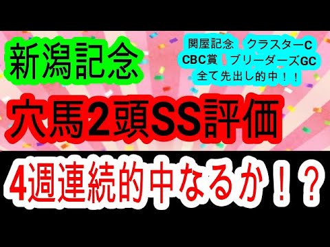 【競馬予想】新潟記念2024　ライトバックは超危険！？　展開が向く新潟巧者で大万馬券を狙いましょう！！