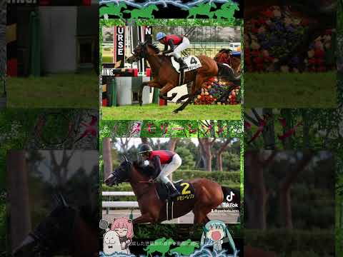 小倉記念2024競馬予想