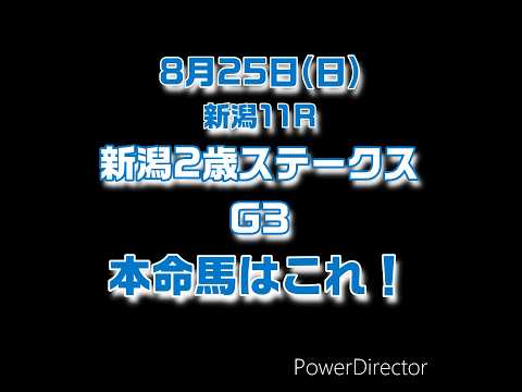 2024 8/25 #新潟２歳ステークス #競馬 #中央競馬 #競馬予想 #shorts