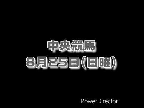 2024 8/25 日曜 中央競馬 仕込み #競馬 #中央競馬 #競馬予想 #shorts