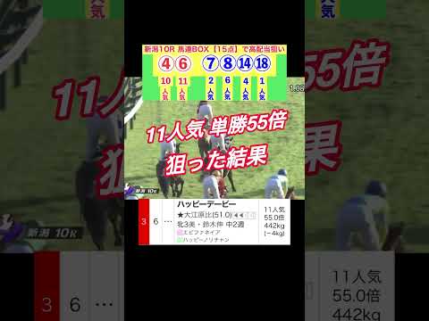 【2024.8.3】新潟10R的中🎯#shorts #競馬予想 #レパードステークス