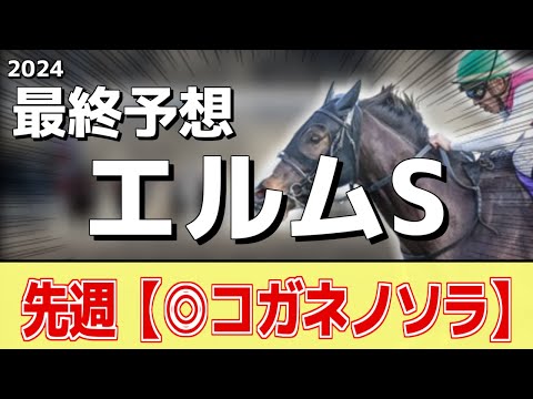 【エルムステークス2024】”大穴馬”を狙います！追い切りから買いたい1頭！