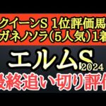 【エルムステークス2024】最終追い切り評価！個人的追い切り1位は楽な手応えで僚馬と併走して追ったら伸びそうなあの馬！