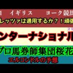 エルコンドル氏のインターナショナルステークス2024予想！！13頭立てのレースだが思っている以上に好メンバー揃い！ドゥレッツァにチャンスはあるか？！