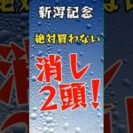 【新潟記念 2024】絶対買わない2頭🔥 #競馬 #競馬予想データ #競馬予想サイト#shorts