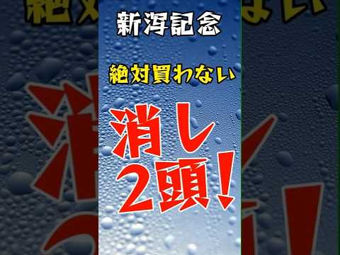 【新潟記念 2024】絶対買わない2頭🔥 #競馬 #競馬予想データ #競馬予想サイト#shorts