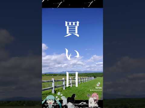 新潟記念2024と小倉2歳ステークス2024競馬予想ショート