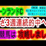 【競馬予想】キーンランドカップ2024＆新潟2歳ステークス2024　1頭確勝級！　勝率100%データで再び大万馬券を狙います！！