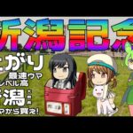 激荒れ！【2024年新潟記念ゆっくり競馬予想】キーワードは、上がり3F最速ウマ、3歳ウマ。レベルの高かった新潟大賞典2着ウマが別格だぜ🌠