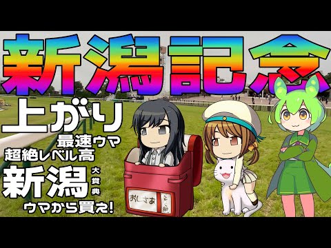 激荒れ！【2024年新潟記念ゆっくり競馬予想】キーワードは、上がり3F最速ウマ、3歳ウマ。レベルの高かった新潟大賞典2着ウマが別格だぜ🌠