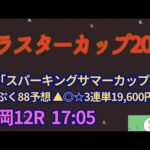 クラスターカップ予想2024【盛岡競馬】4コーナー先頭馬が過去10年で4勝。複勝率84.6%[4-4-3-2]AI予想＋調教診断＋買い目