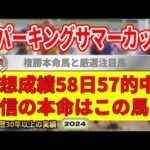 スパーキングサマーカップ2024競馬予想（58日57的中と絶好調！※5月以降）＆園田11R10R・川崎10R