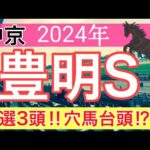 【豊明ステークス2024】競馬予想(直近競馬予想6戦5的中)