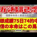 新潟記念2024競馬予想（75日74的中と絶好調！）＆新潟1R・6R・8R