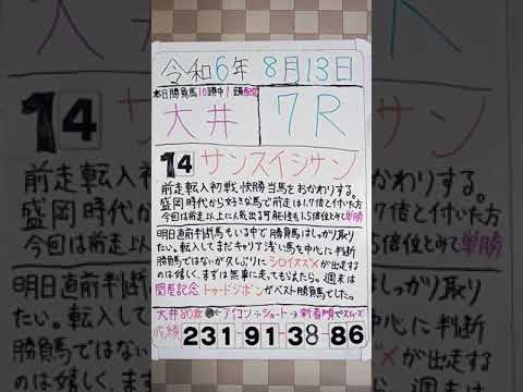 2024年8月13日大井競馬予想#shorts