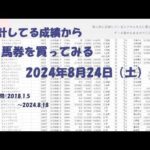 【競馬予想】2024年8月24日（土）の予想【エクセル集計】