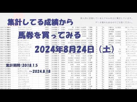 【競馬予想】2024年8月24日（土）の予想【エクセル集計】