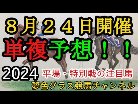 【単複平場予想】2024年8月24日JRA平場戦！朱鷺ステークス、瀬戸ステークスなど3場11R含む12頭！引き続き妙味を目指して！