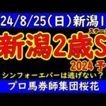 新潟2歳ステークス2024レース予想！新潟で速力をフルに発揮して逃げたシンフォーエバーか？出遅れながらも抜群の末脚で他馬をちぎったコートアリシアンか？その他にも決め手の鋭い馬が出走し難解な一戦！