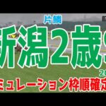 新潟2歳ステークス2024 枠順確定後シミュレーション【競馬予想】【展開予想】新潟2歳S