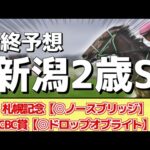 【新潟2歳ステークス2024】”穴馬”から勝負！追い切りから買いたい1頭！