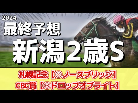 【新潟2歳ステークス2024】”穴馬”から勝負！追い切りから買いたい1頭！