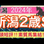 【新潟2歳ステークス2024】競馬予想(2024年競馬予想308戦188的中)