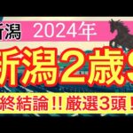 【新潟2歳ステークス2024】競馬予想(2024年競馬予想315戦192的中)