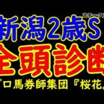 新潟2歳ステークス2024一週前競馬予想全頭診断！コートアリシアンやシンフォーエバーなど決め手のある馬が有利な舞台で昨年アスコリピチェーノを輩出した出世レース！暮れの2歳G1へ向けて名乗り出るのは？