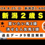 【新潟2歳ステークス2024】過去データ9項目解析!!買いたい馬3頭と消せる人気馬1頭について(競馬予想)