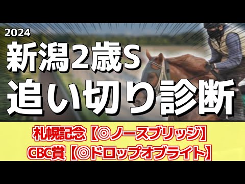 追い切り徹底解説！【新潟2歳ステークス2024】コートアリシアン、シンフォーエバーなどの状態はどうか？調教S評価は2頭！