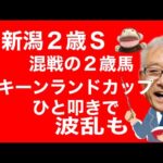 【競馬予想】新潟2歳SとキーンランドＣを徹底解説