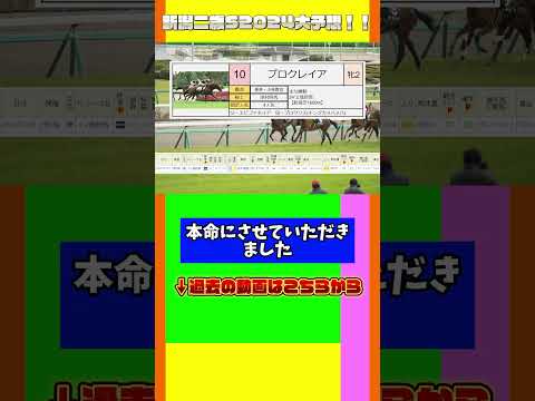 人気馬は怪しい！？新潟2歳S！ #競馬 #競馬予想 #新潟2歳ステークス #新潟競馬場 #ドケチ大ボケ競馬チャンネル