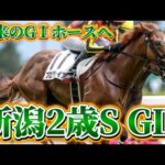 新潟2歳S GⅢ 2024 予想　#競馬予想 #新潟2歳ステークス #チャンネル登録よろしくお願いいたします